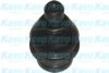 KAVO PARTS SBJ-6504 Ball Joint